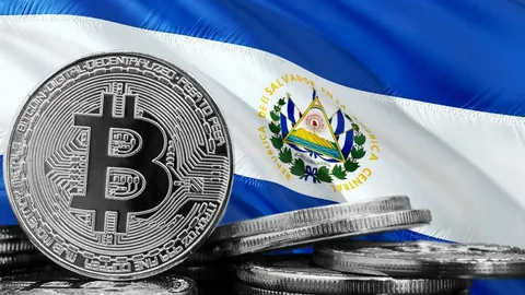 El Salvador to Purchase Bitcoin Everyday from November 18, 2022